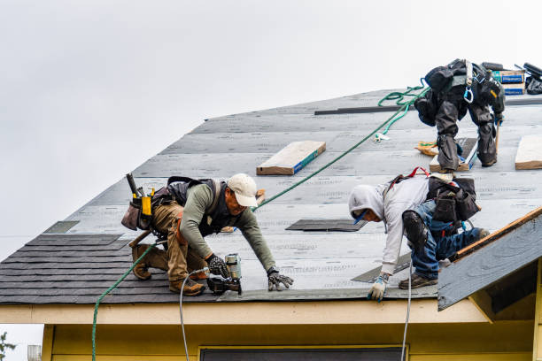 Professional Gutter Installation technician working in Avella, PA